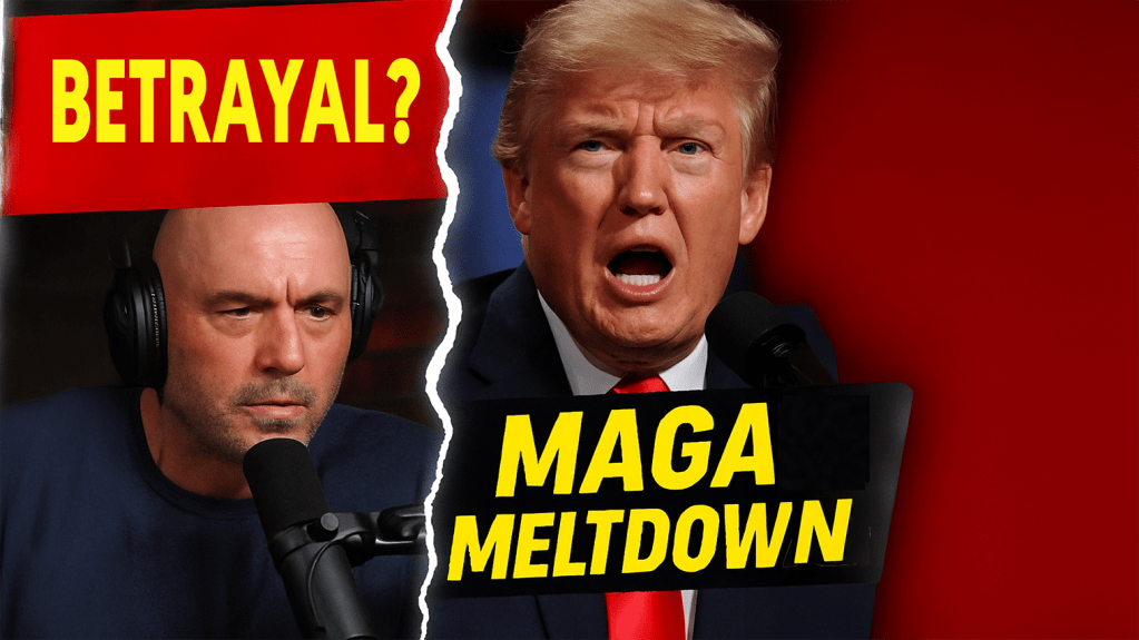 Rogan turns on&nbsp;Trump